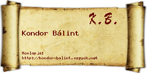 Kondor Bálint névjegykártya